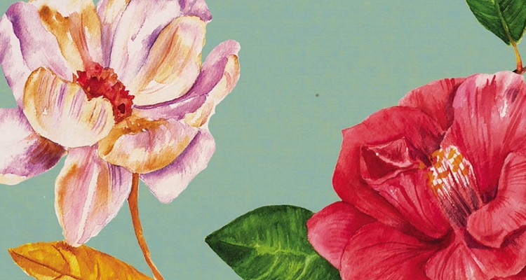 Cantrell-Perennials-750x400