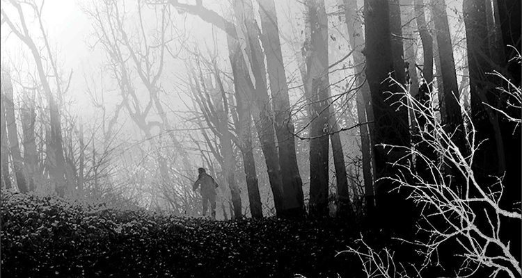 Coldwater_feat-image