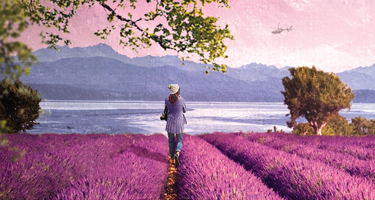 ViewFromRainshadowBay_feat-image