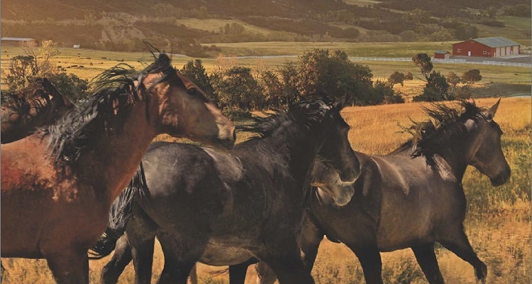 Mentink-Treacherous-Trails-750x400