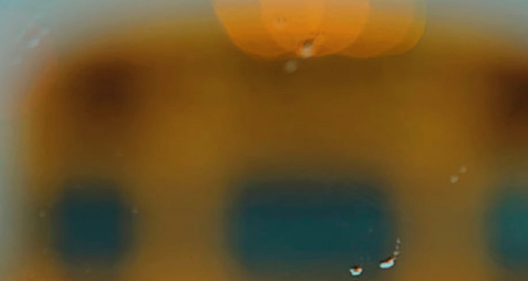 Ganshert-No-One-Ever-Asked-750x400