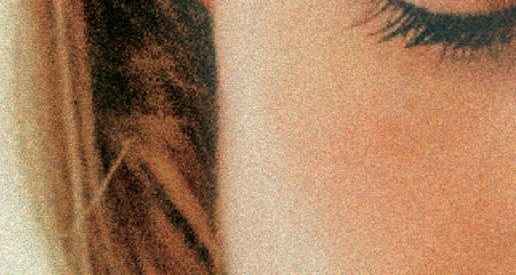 Vogt-Things-I-Never-Told-You-750x400