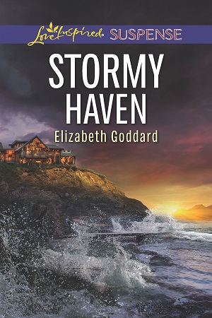 Goddard-Stormy-Haven-300x450