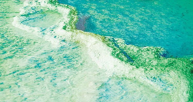 Jenkins-Dead-Sea-Rising-750x400