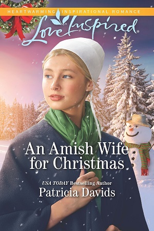 Davids-Amish-Wife-Christmas-300x450