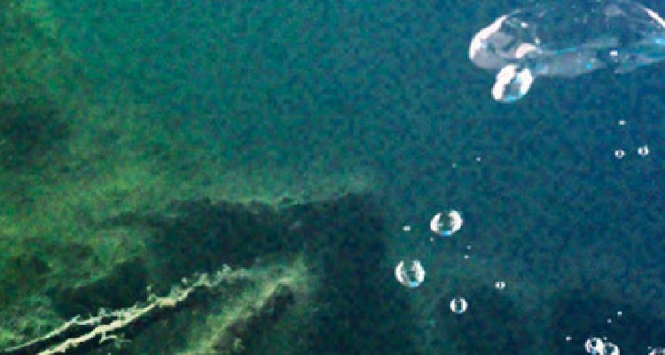 Blackurn-In-Too-Deep-750x400