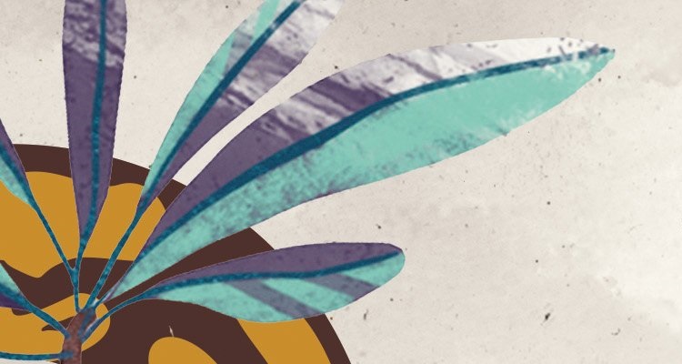 Myhre-Fever-Flight-750x400