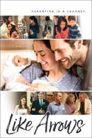 DVD-Like-Arrows-300x450