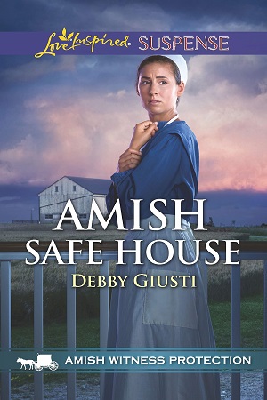 Giusti-Amish-Safe-House-300x450