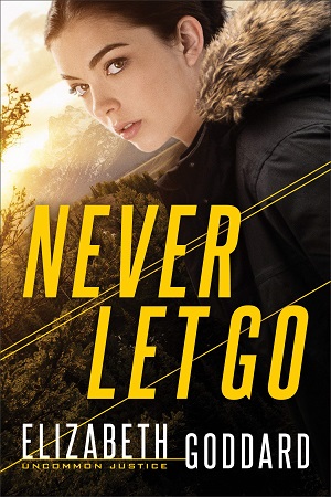 Goddard-Never-Let-Go-300x450