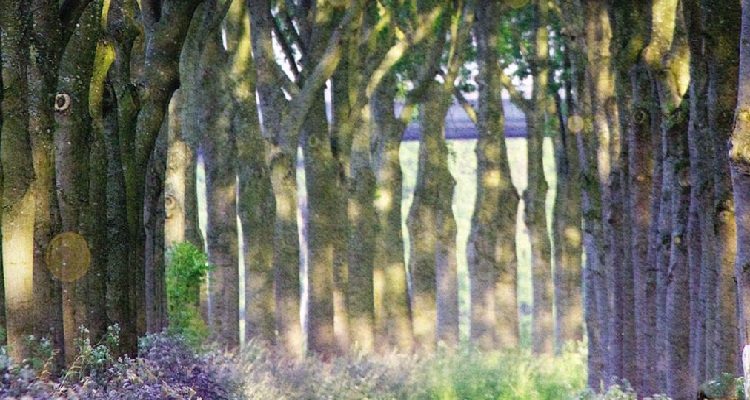 Denton_Glory-Road_750x400