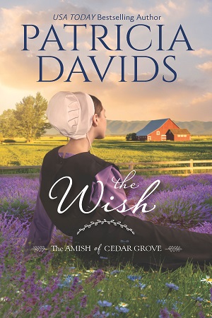 Davids-Patricia_The-Wish_300X450