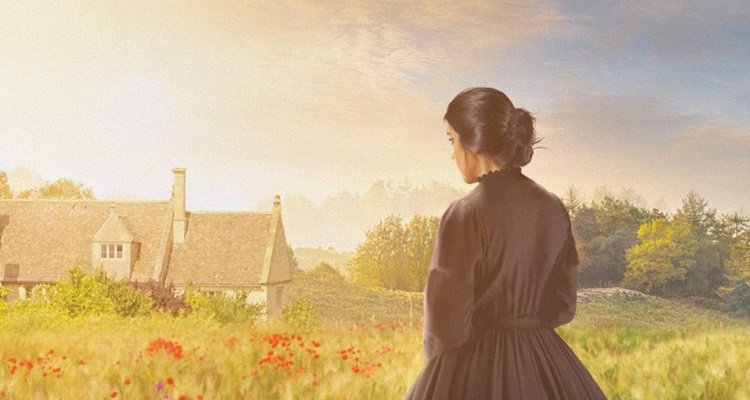 Stephens-Shadow-Among-Sheaves-750x400