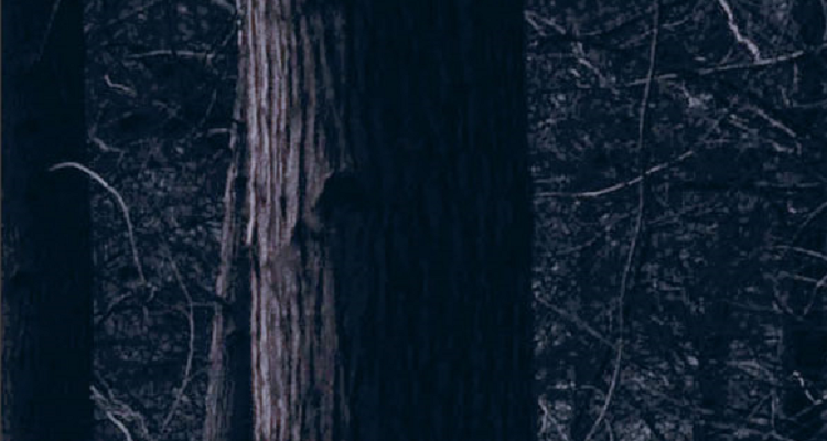 Dekker-Girl-Behind-Red-Rope-750x400