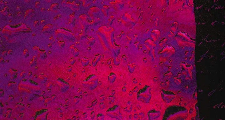 Rubart-Pages-Of-Her-Life-750x400