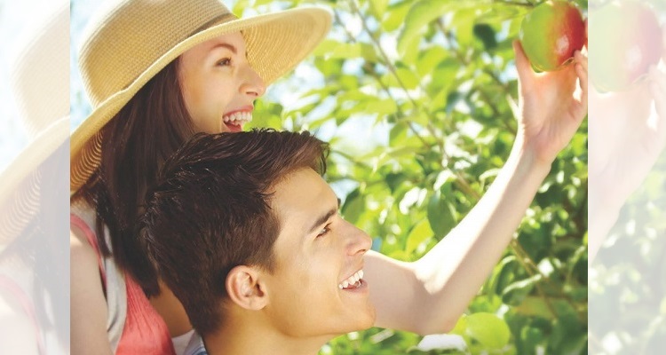 Herne-Hopeful-Harvest-750x400