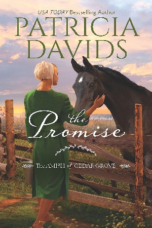 Patricia-Davids_The-Promise_300x450