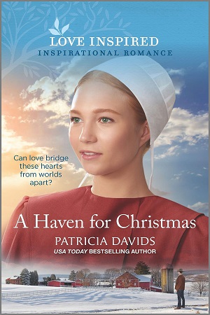 Davids_A-Haven-for-Christmas_300x450