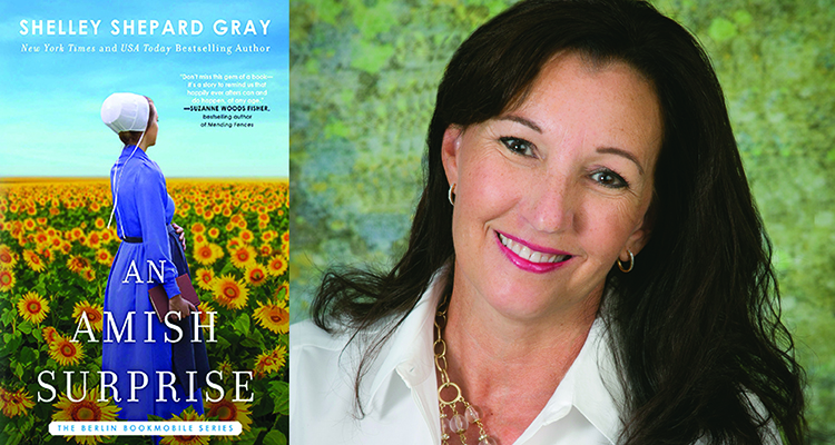 Gray-Amish Surprise-Graphic-750