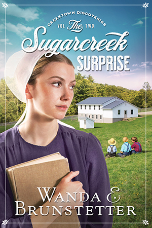 Brunstetter-Sugarcreek Surprise