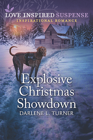 Turner-Explosive Christmas Showdown