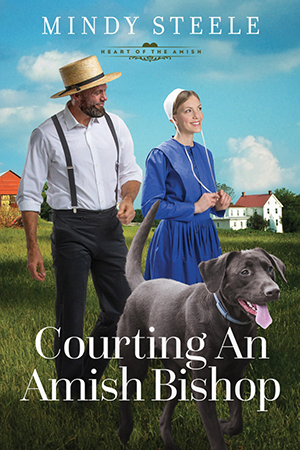 Steele-Courting an Amish Bishop