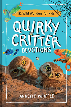 Whipple-Quirky Critter Devotions