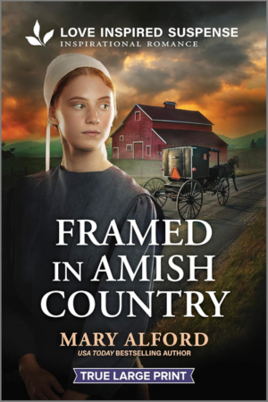Alford - Framed in Amish Country (300x450px)